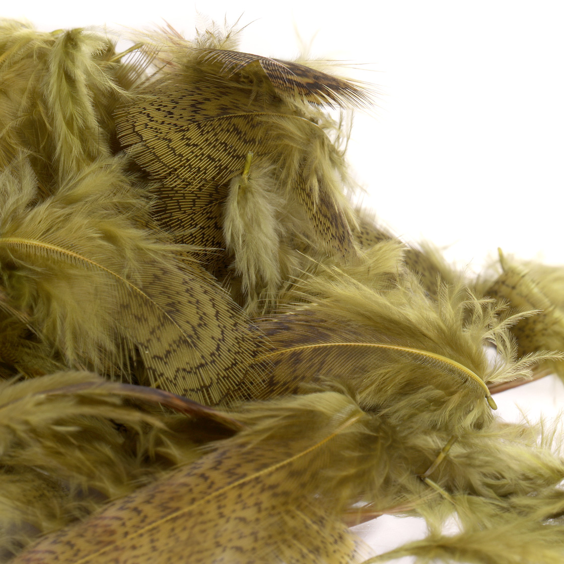 dyed olive