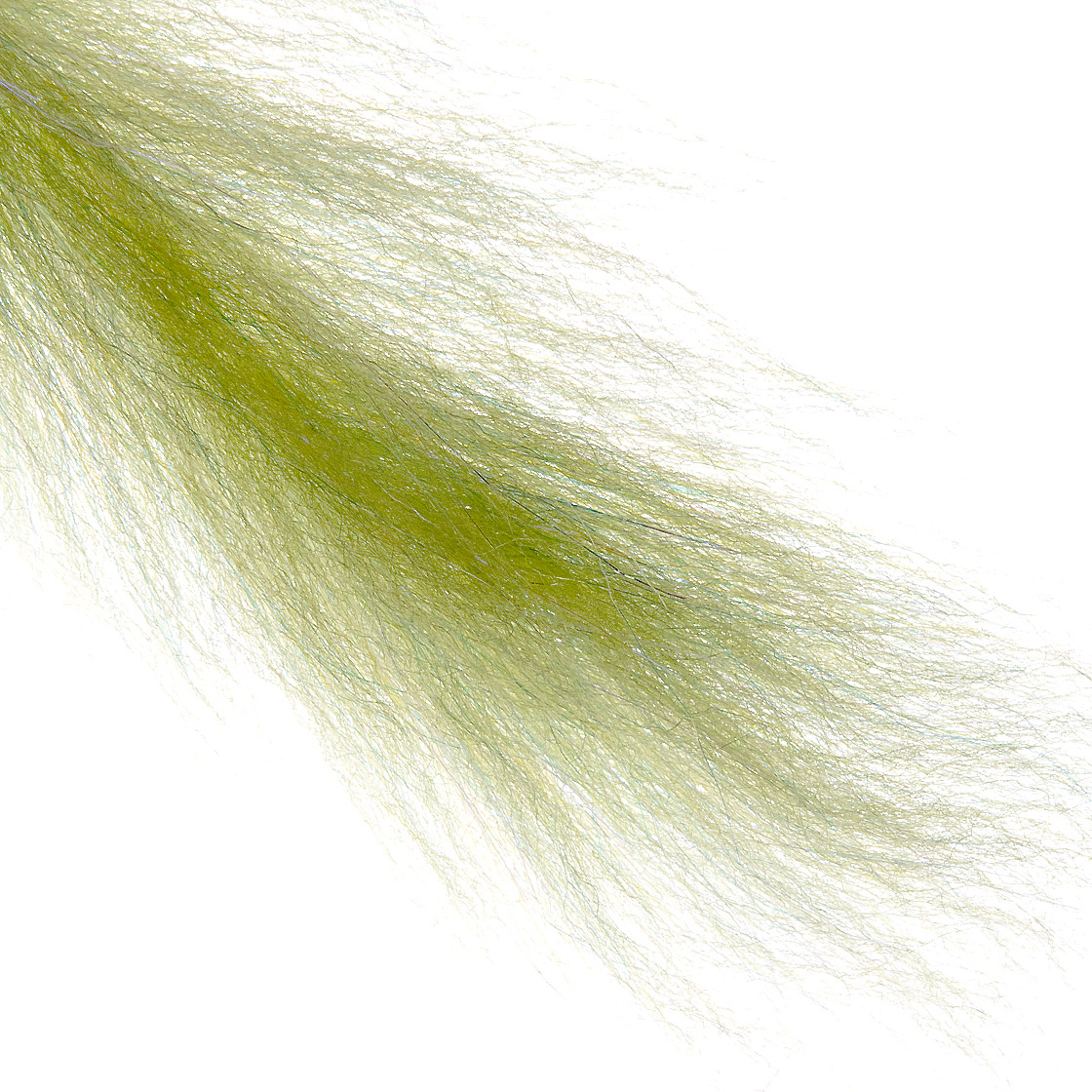 uv wild olive