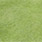 green drake