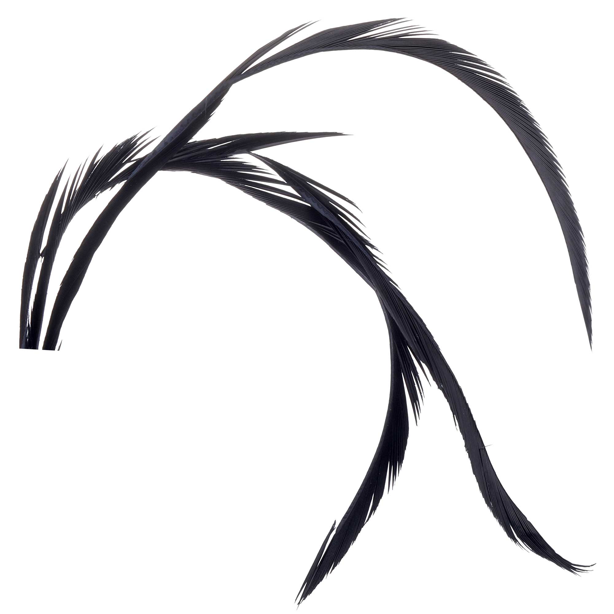 Soldarini Goose Biots