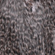 grizzly dyed dun