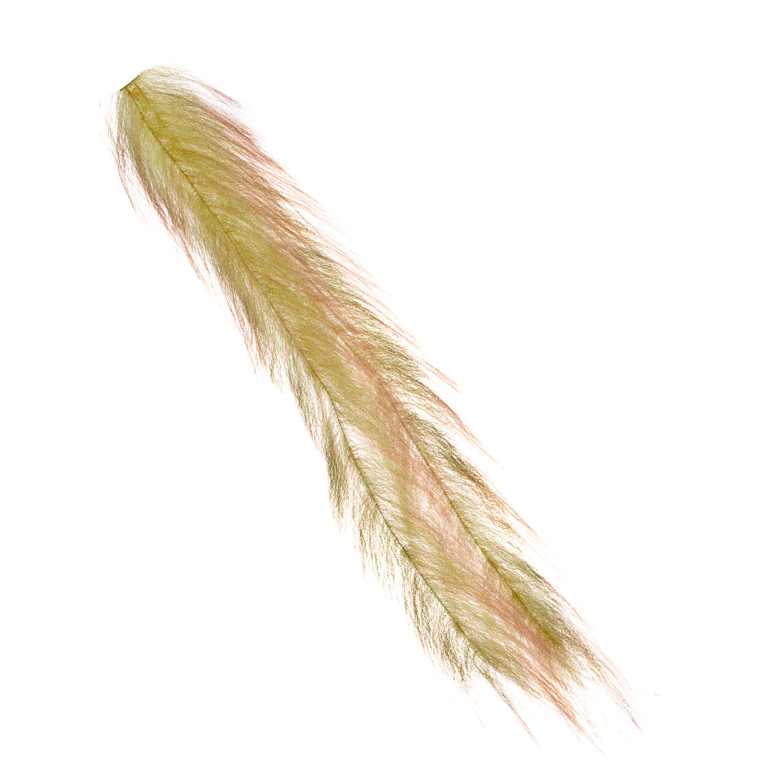 P-26066_Fishient-H2O-Mimic-Faux-Feather-Brush-5_perch