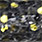 black yellow glitter