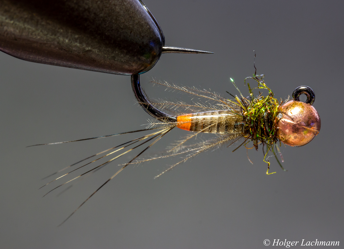 Holger_Lachmann_Whiting_Coq_de_Leon_Beispiele_1 Bindebeispiel