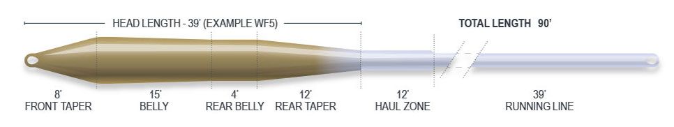P-28944_Airflo_Ridge_2-0_Superflo_Universal_Taper_Trout_Floating_Fliegenschnur_Lichen_Green_Driftwood_3