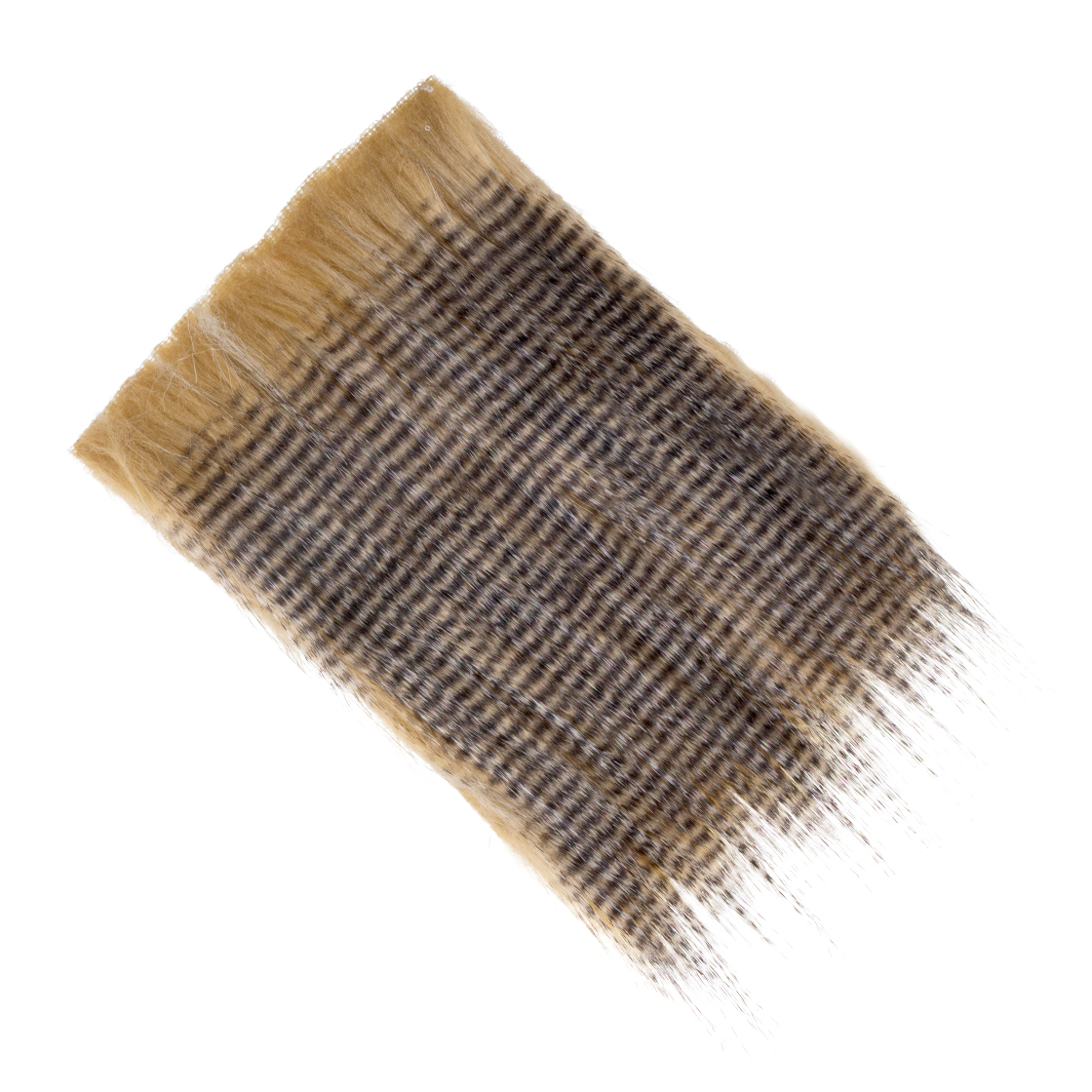 barred sandy tan