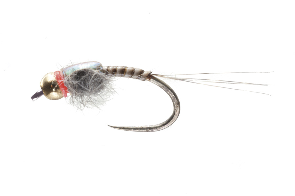 Soldarini Tungsten Nymph - Quill Flashback Red Neck