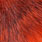 hot orange