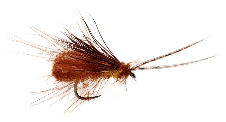 fullin_mill_mcphail_chocolate_drop_barbless Fulling Mill Dry Fly - McPhail Bubble Wing Caddis Chocolate Drop Barbless