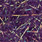 18 violet