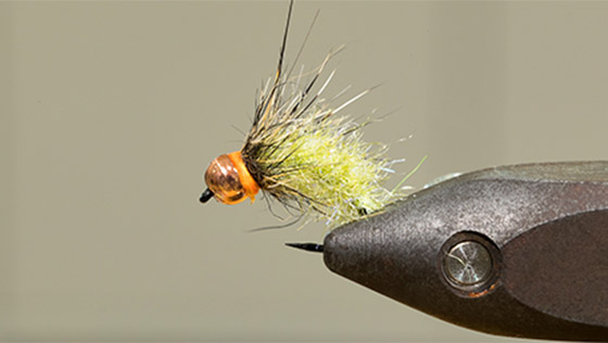 Tying Video Hot Spot Psycho Caddis with Alexander Keus