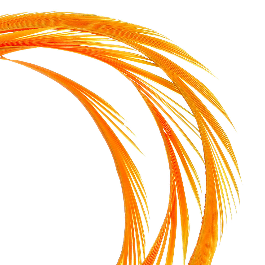 fluorescent sunburst orange