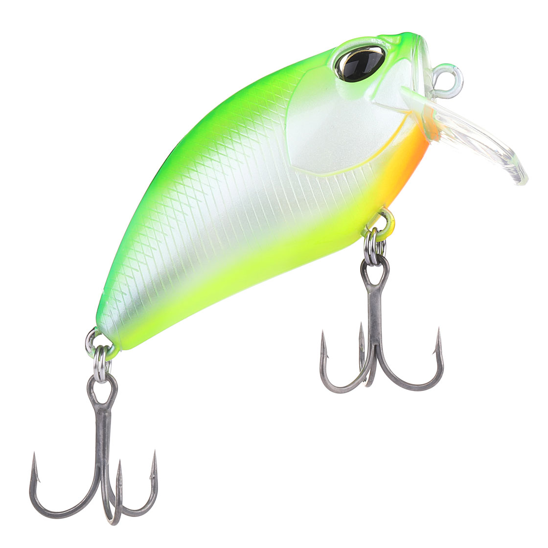 Citrus Shad