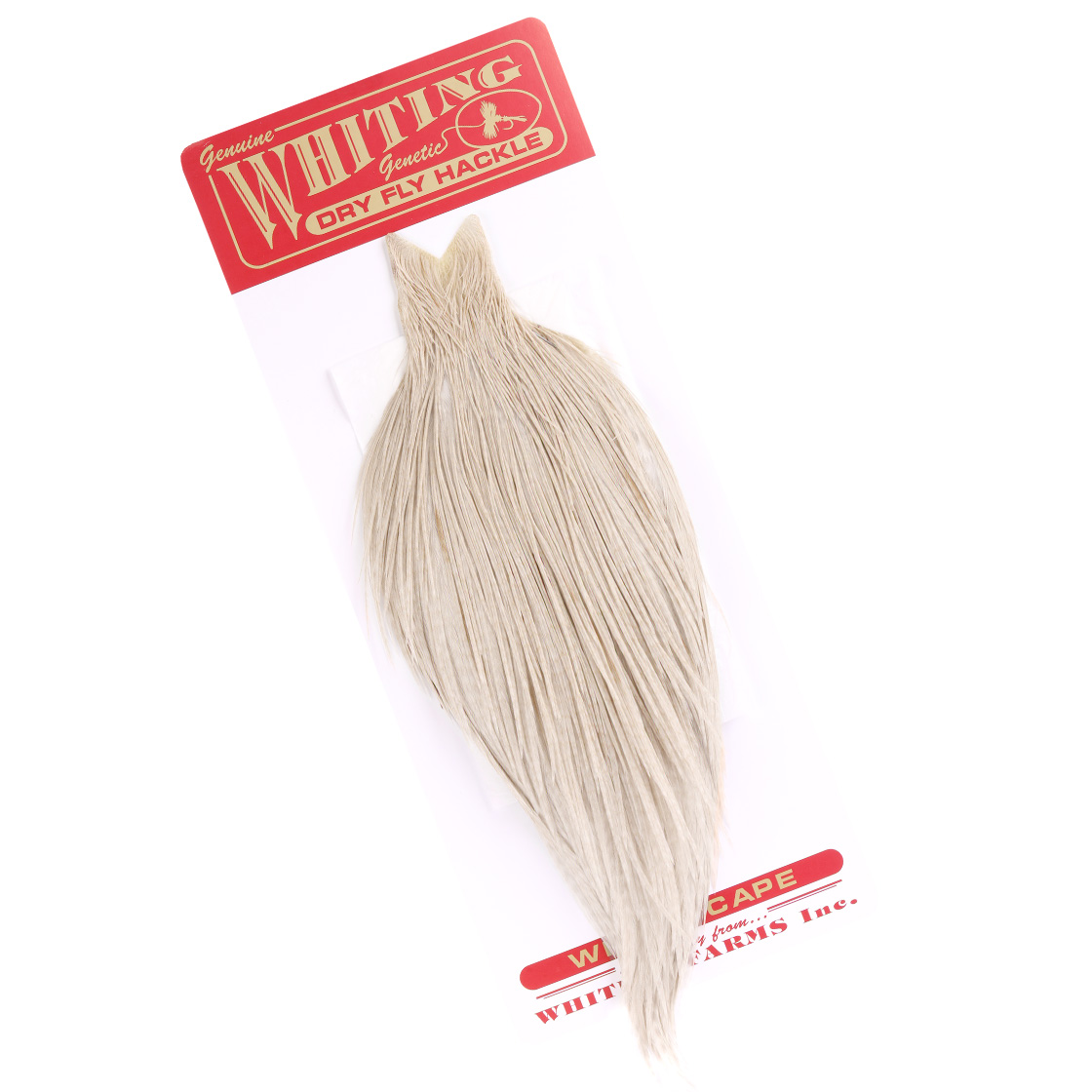 grizzly ghost white