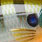 blue gill