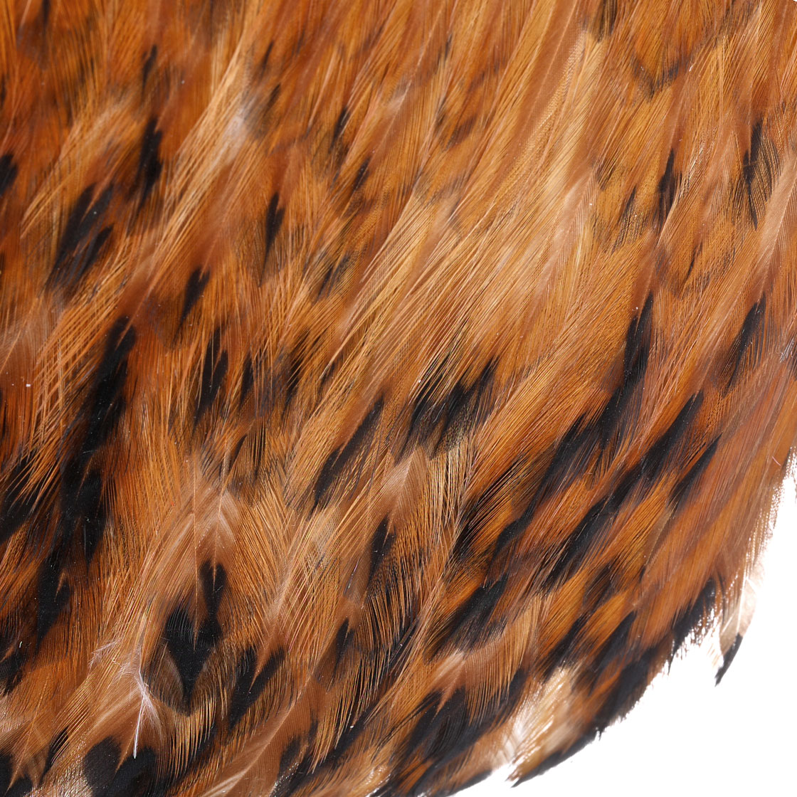 P-25380-1_Whiting-American-Rooster-Cape_detail-2