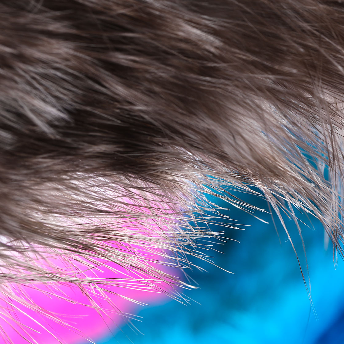 P-25405_Whiting-Spey-SH-C_detail-2