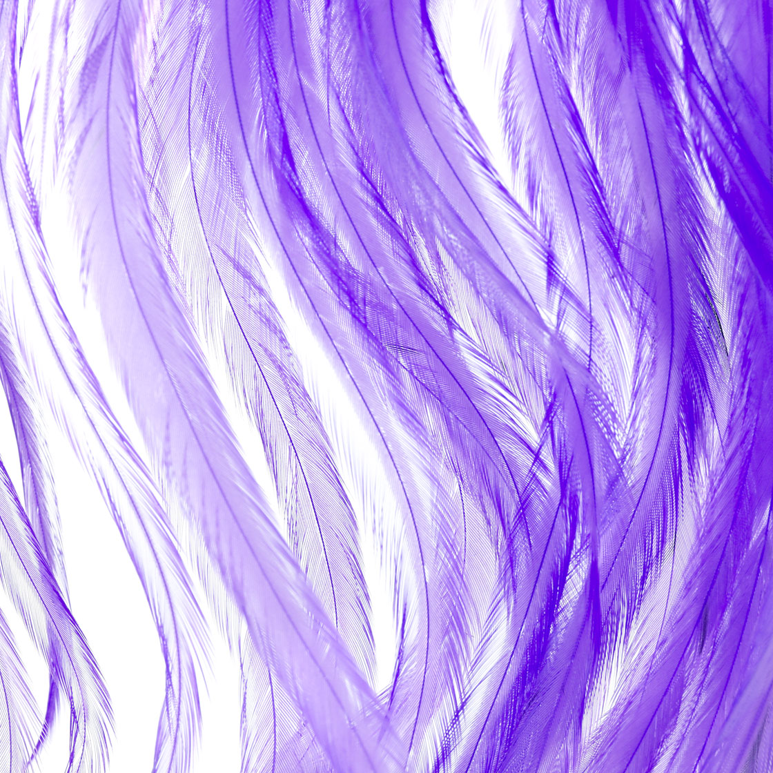 P-21431_Hareline-Flat-Wing-Saddles-UV2_detail-3