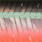 fluo red black