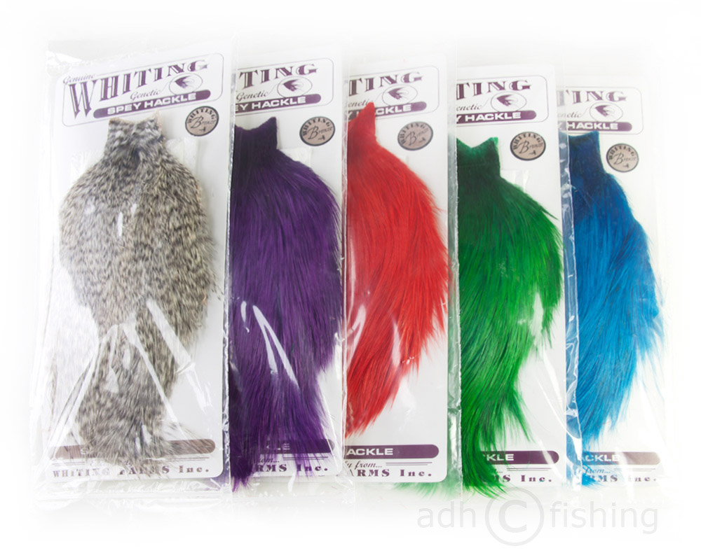 Whiting Bronze Spey Hackle Cape medium dun - Main Image