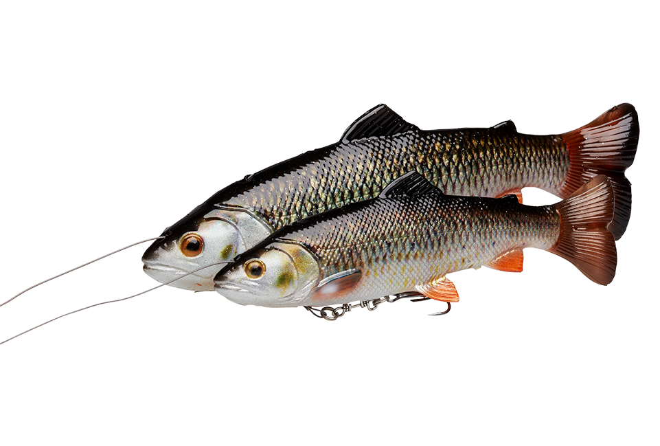 P-23731_Savage-Gear_4D_Line_Thru_Pulse_Tail_Trout_titel_1 Savage Gear 4D Line Thru Pulse Tail Trout perch