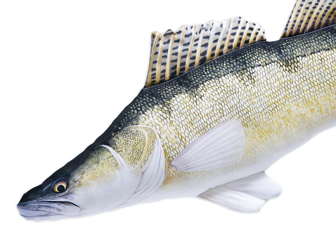 P-29189_Fischkissen_Kuscheltier_Zander_77cm_2