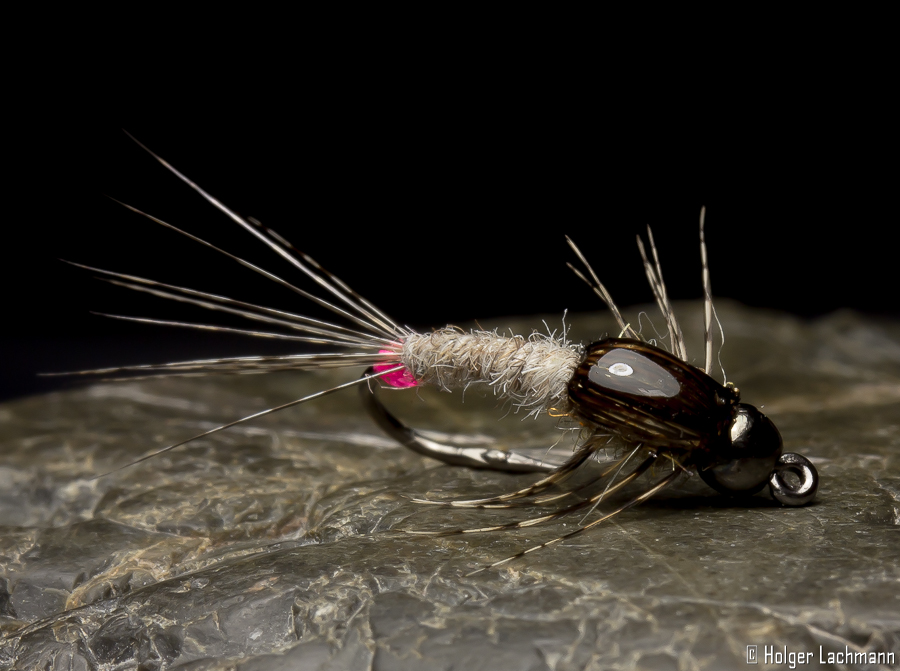 Holger_Lachmann_Whiting_Coq_de_Leon_Beispiele_4 Bindebeispiel