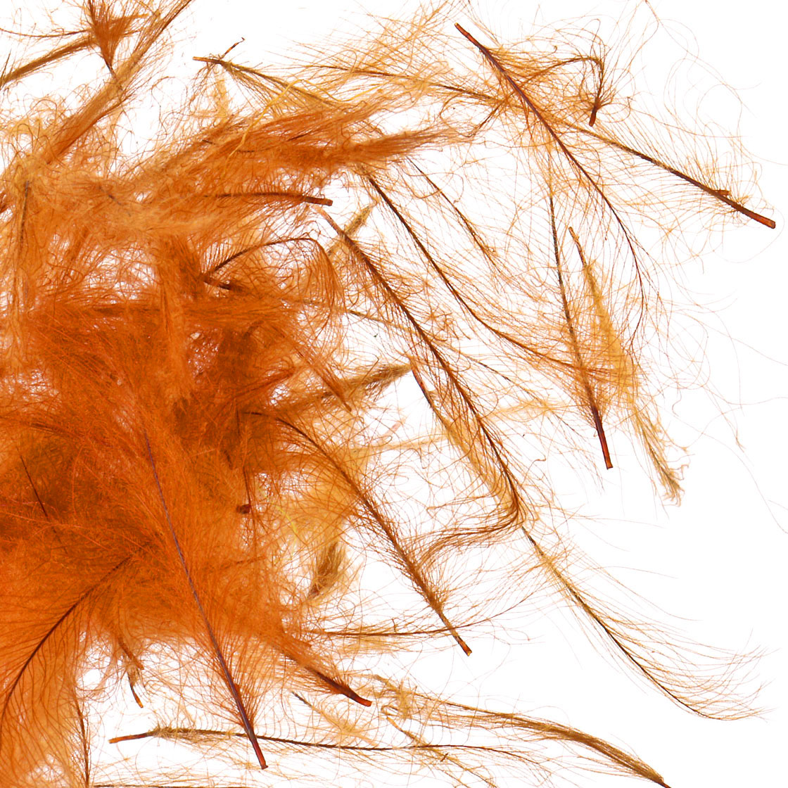 P-24500-9_fulling-mill_cdc-federn_feathers_bulk-pack_rusty-brown Rusty Brown