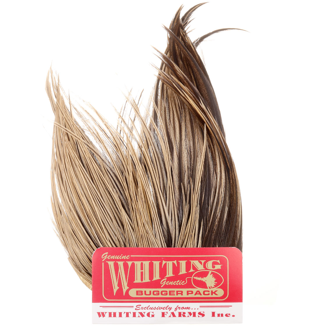 P-28070-1_whiting_bugger-pack_golden-badger golden badger