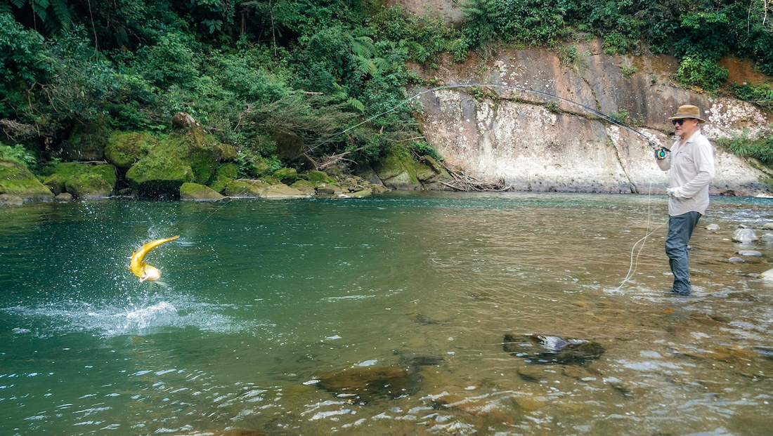 P-29314_T-T_88_Fliegenrute_4