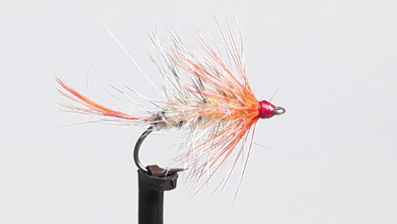 Bindevideo: Autumn Fly Fly Tying Video: Autumn Fly