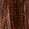 grizzly dyed brown