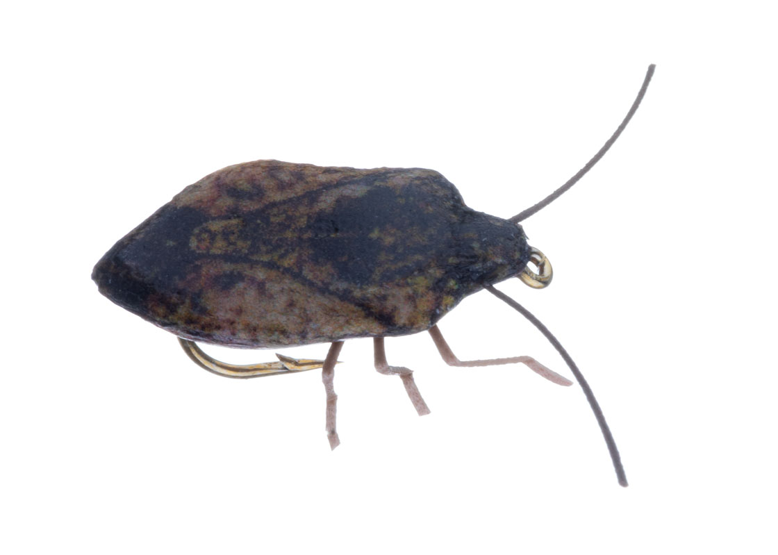 Vania Realistic Stink Bug Dry Fly brown
