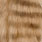 ginger brown barred