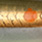 sandeel copper orange dots