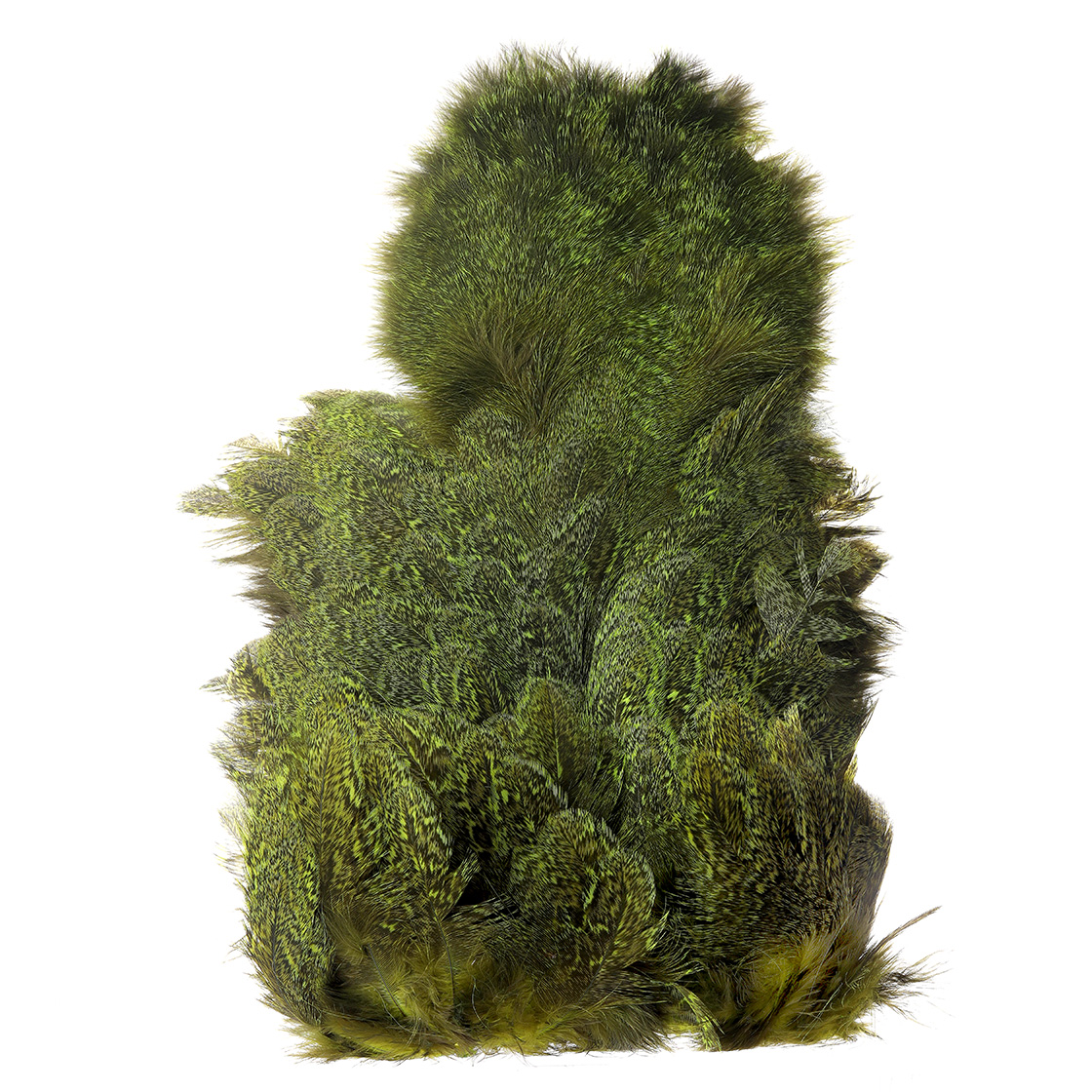 speckled fluo yellow chartreuse