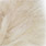 bonefish tan