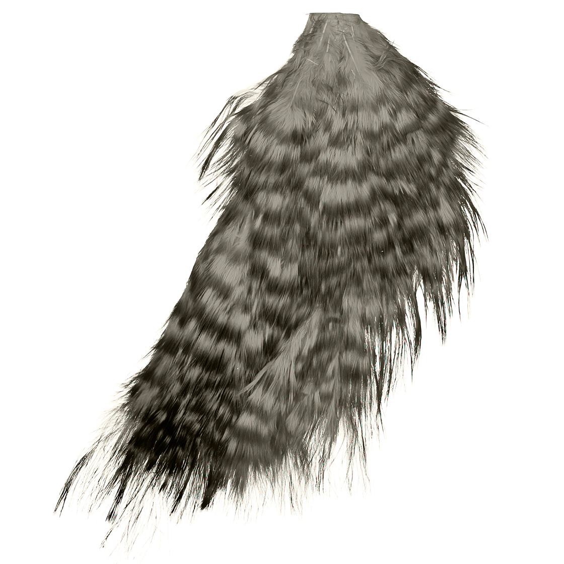 grizzly dyed heron grey