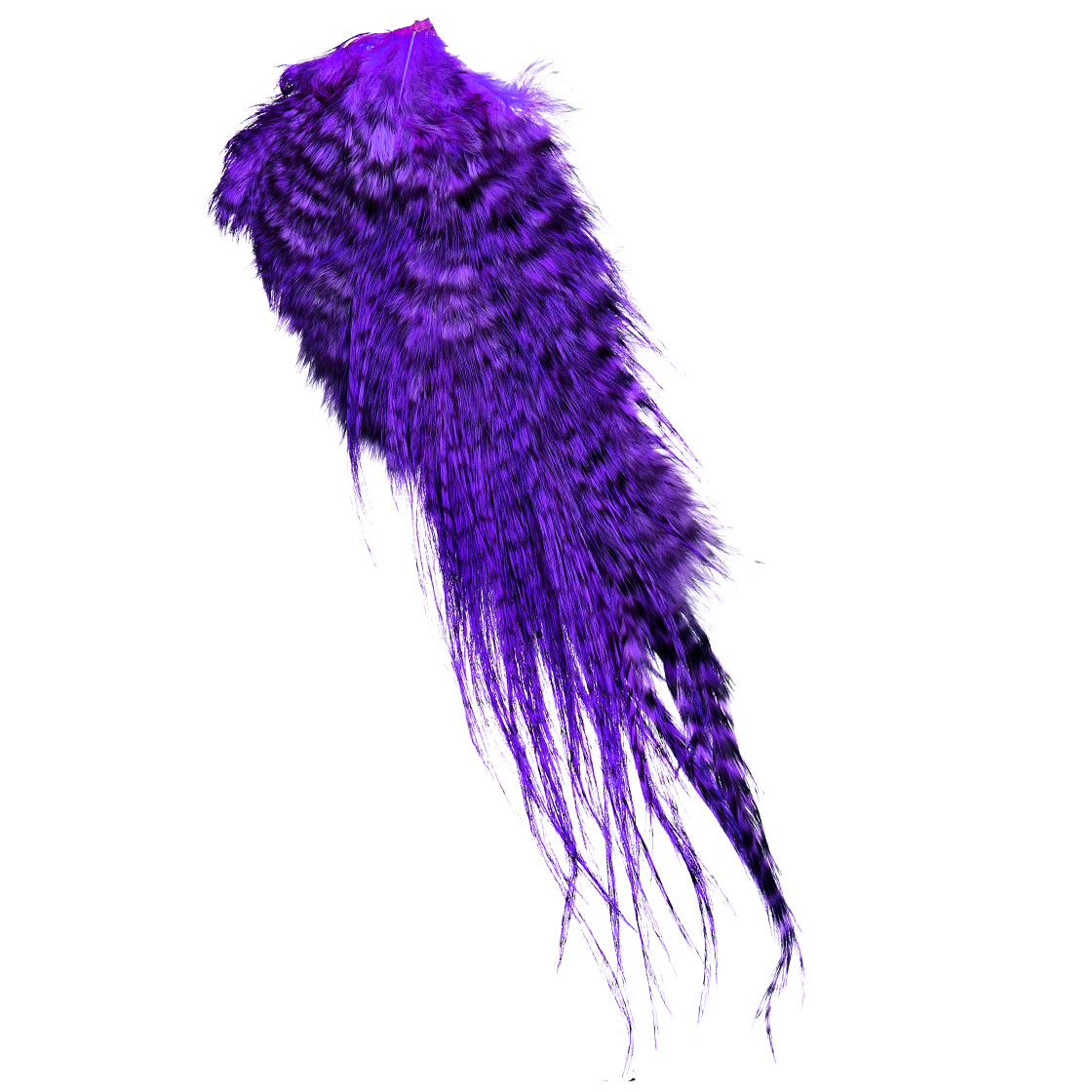 grizzly dyed purple
