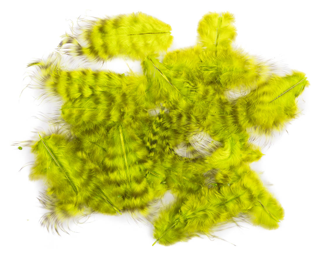 fluo chartreuse