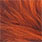 burnt orange
