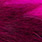 fluo cerise