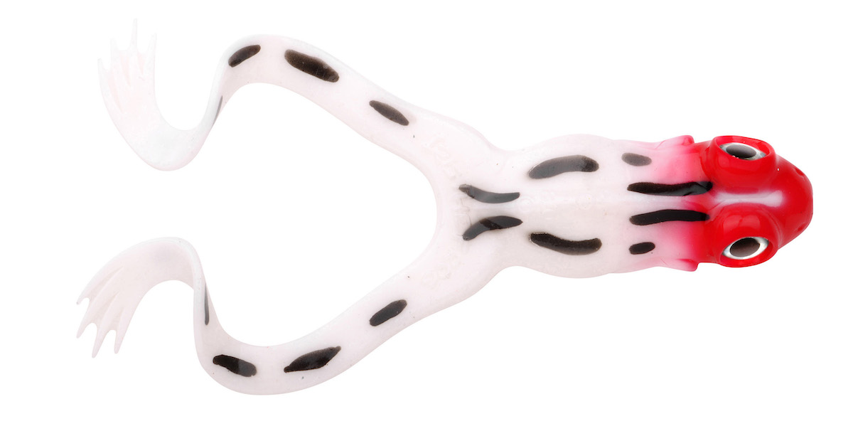 Spro_Iris_The_Frog_redhead_1 redhead