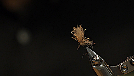 Bindevideo: CDC Puffs Eintagsfliege Fly Tying Video: CDC Puffs Day Fly
