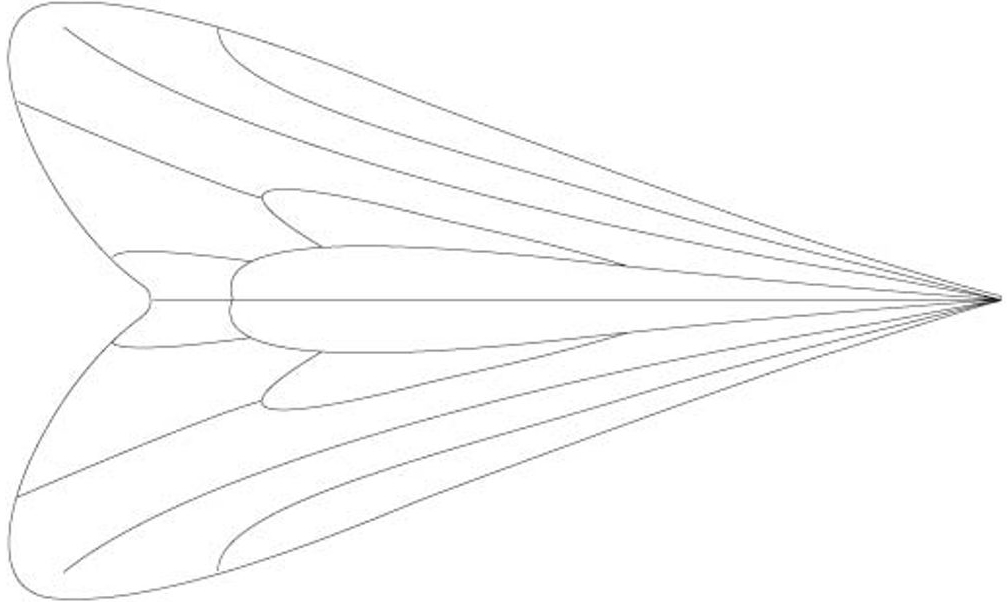 P-27708_Pro_Sportfisher_Caddis_Wings_3