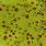 black/chartreuse
