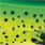 dorado