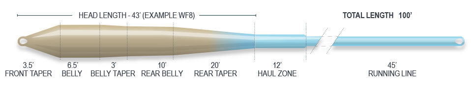 P-28942_Airflo_Superflo_Flats_Universal_Floating_Tropical_Saltwater_Fliegenschnur_Sand_Blue_Sky_2