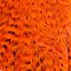 grizzly orange