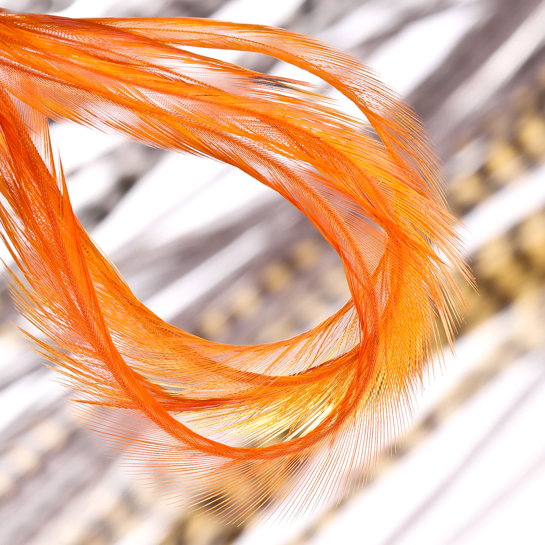 P-25408_Whiting-100-Pk-Size-10_titel